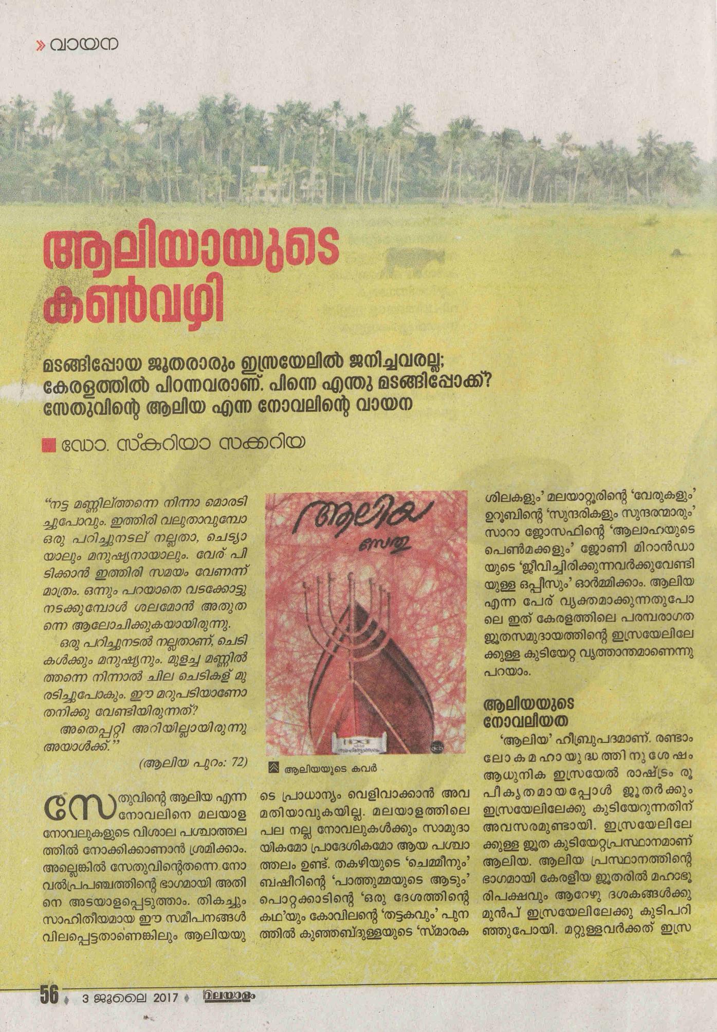 2017 - ആലിയായുടെ കൺവഴി - സ്കറിയ സക്കറിയ